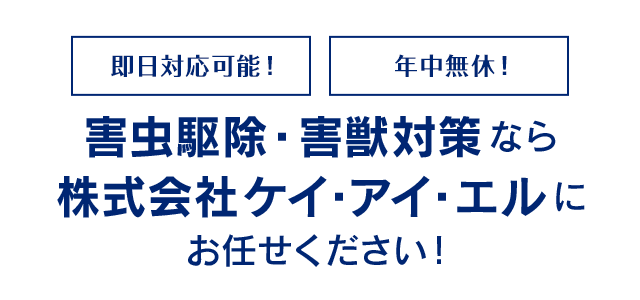 害虫駆除・害獣対策なら 株式会社ケイ・アイ・エルに お任せください！